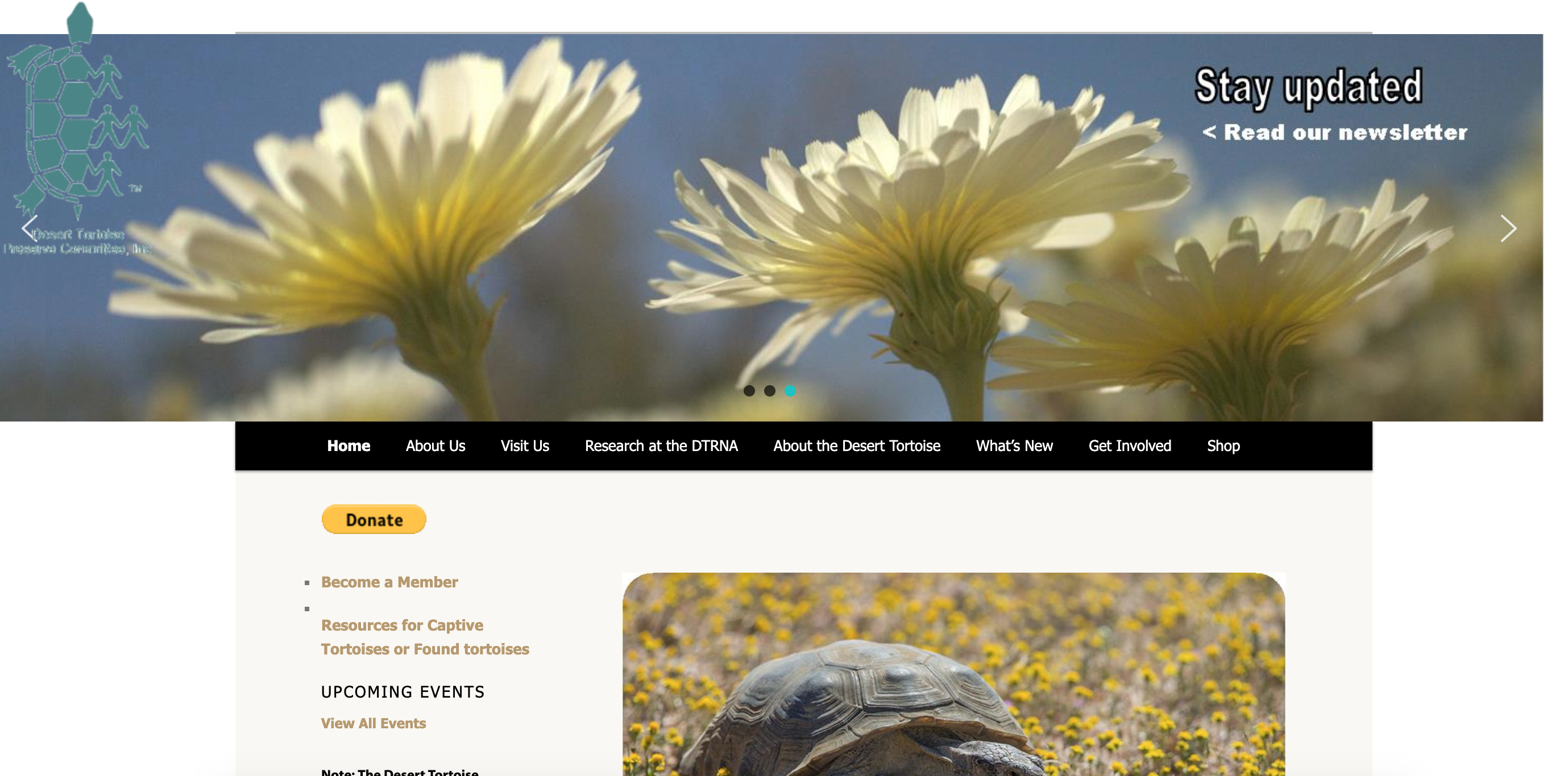 DTPC Current Website