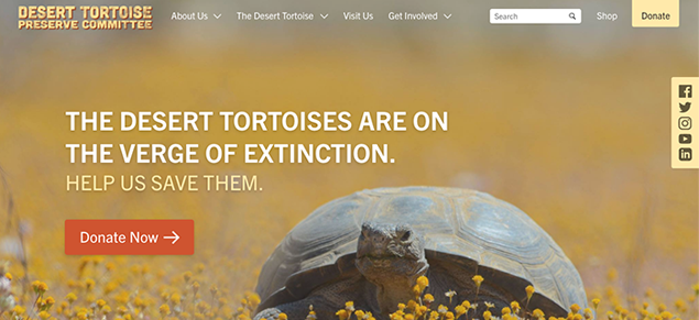 Screenshot of DTPC Redesign