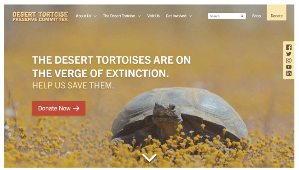 Homepage Redesign
