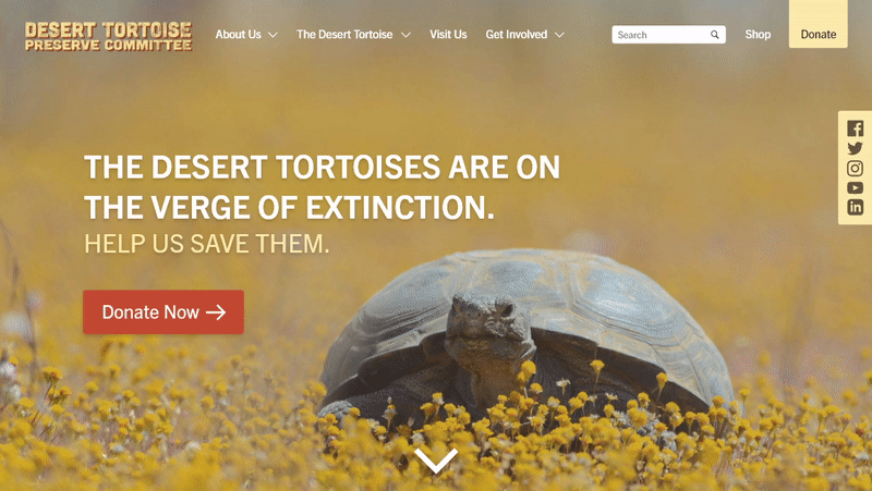 Website going from desktop version to mobile version